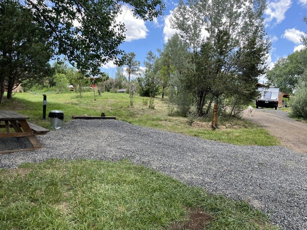 Gravel campsite with picnic table, trees, and small RV on a dirt road, under a blue sky.
