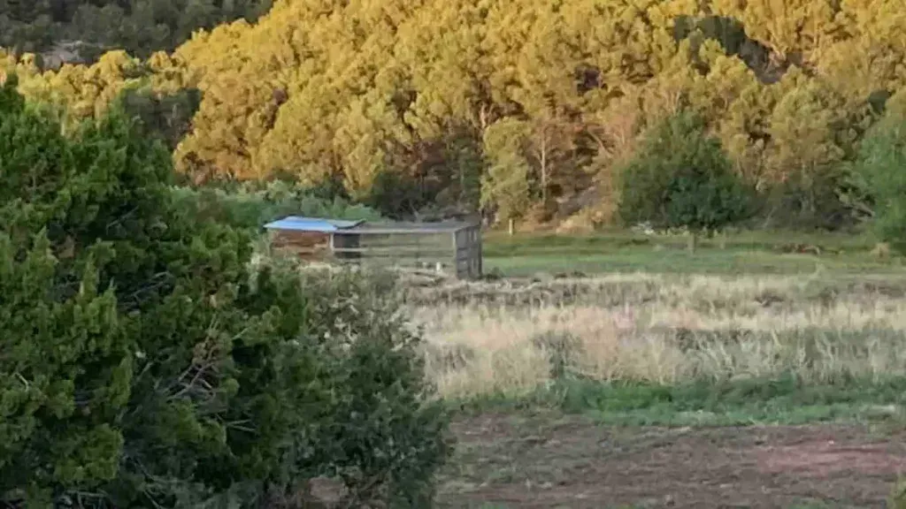 Person with a backpack standing at a door, looking out at a forest from a deck.