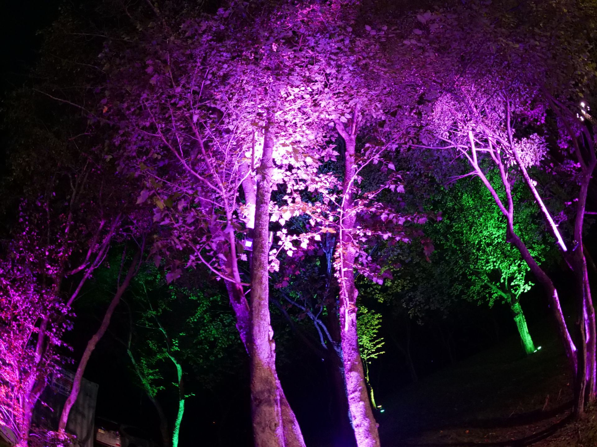 A bride and groom are dancing their first dance at a wedding reception.