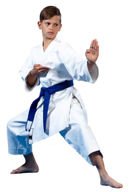 A young boy is wearing a white karate uniform with a blue belt.