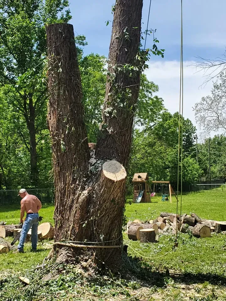 Worker cutting a large tree trunk in a grassy yard, with logs stacked nearby and a person in the background