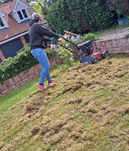 lawn scarification