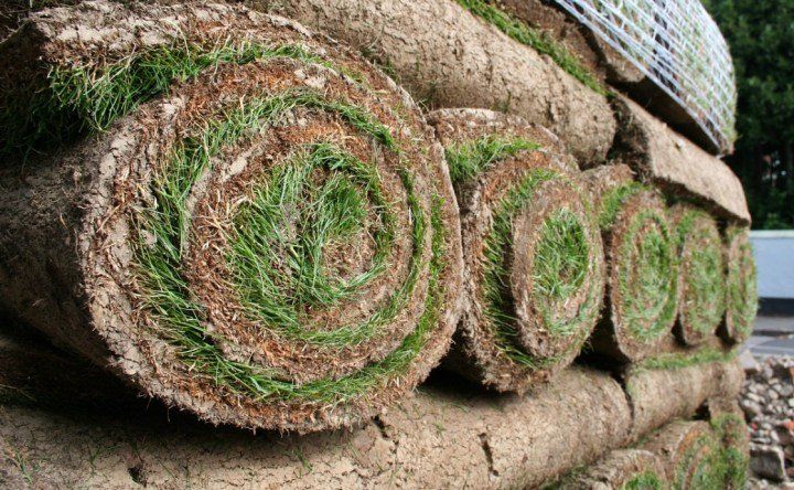 Rolled up grass turfs