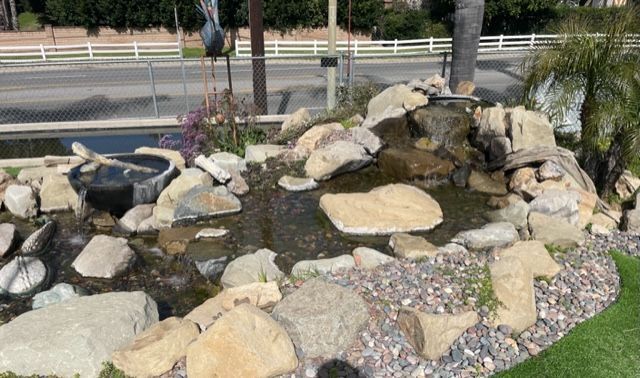 Small Pond Surronded With Rocks - Los Angeles, CA - Aquarium and Pond Care