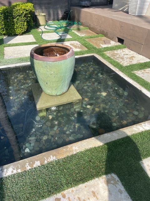 Picture Of Green Pot - Los Angeles, CA - Aquarium and Pond Care
