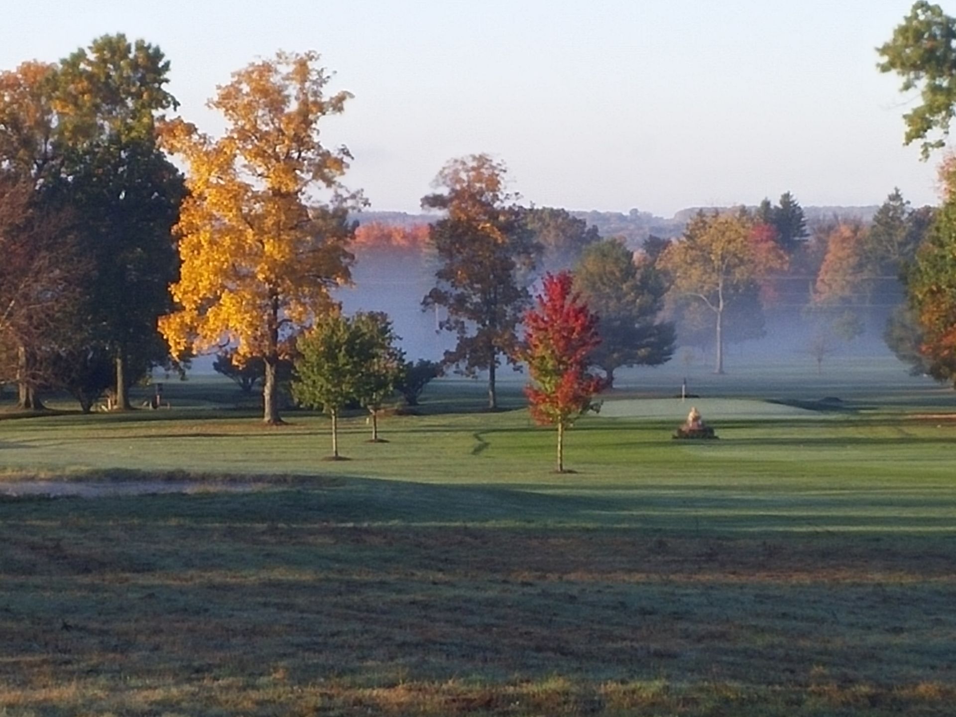 A foggy golf course with trees in the background