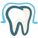 A drawing of a tooth with a blue outline around it.
