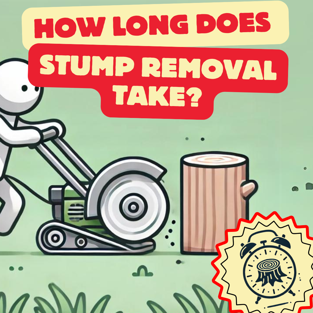 how long does stump removal take