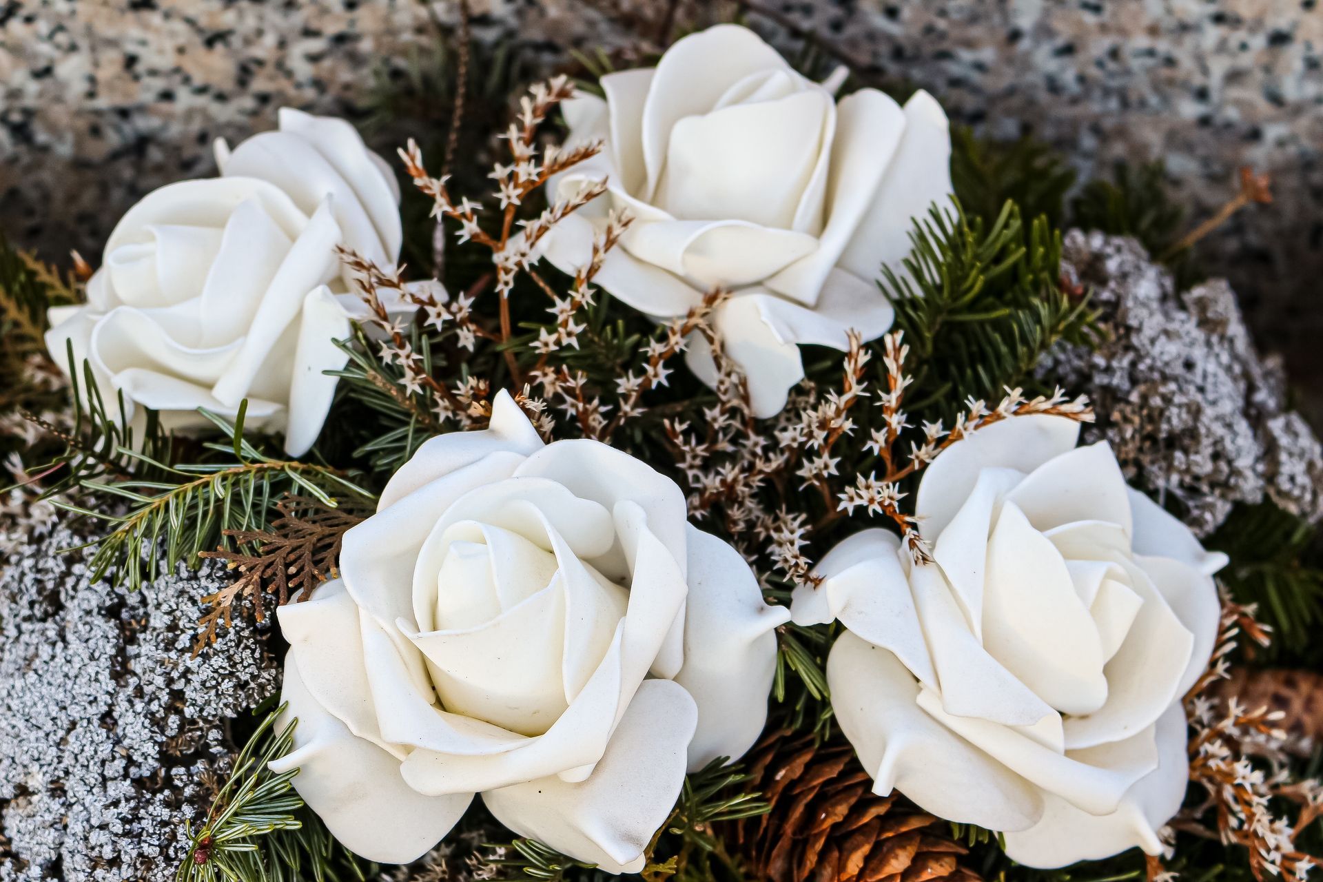 A white flower with a yellow center on a black background