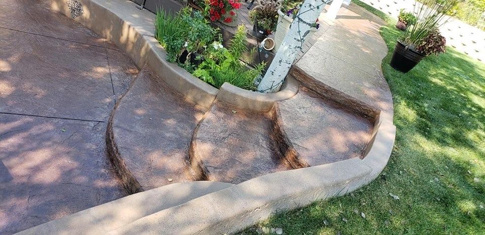 A concrete walkway with a tree in the middle of it.