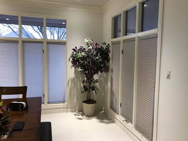 A Room With A Plant In The Corner And Blinds On The Windows – Lubbock, TX – Wilson Blind & Shutter