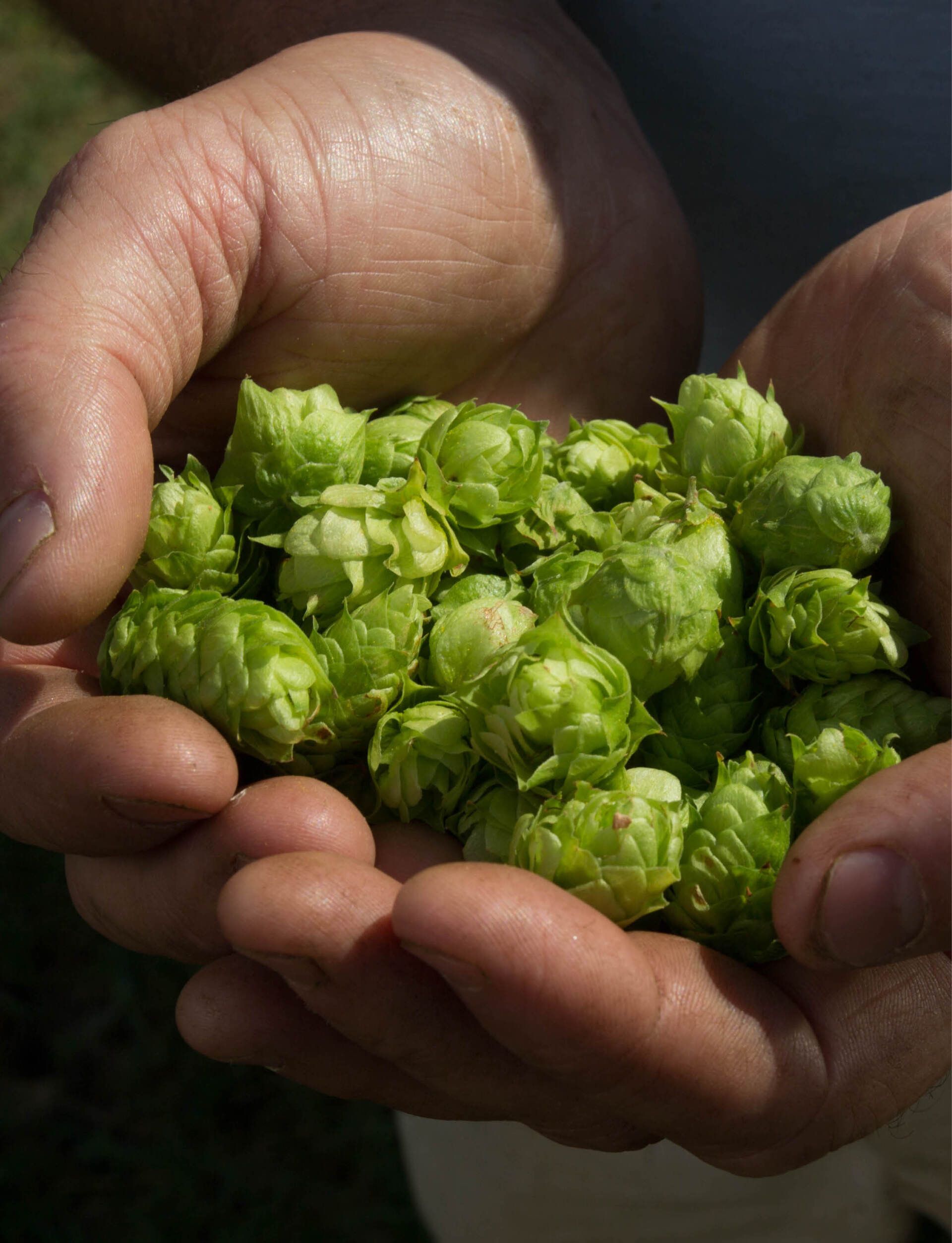 Photo from MidJersey Business Magazine