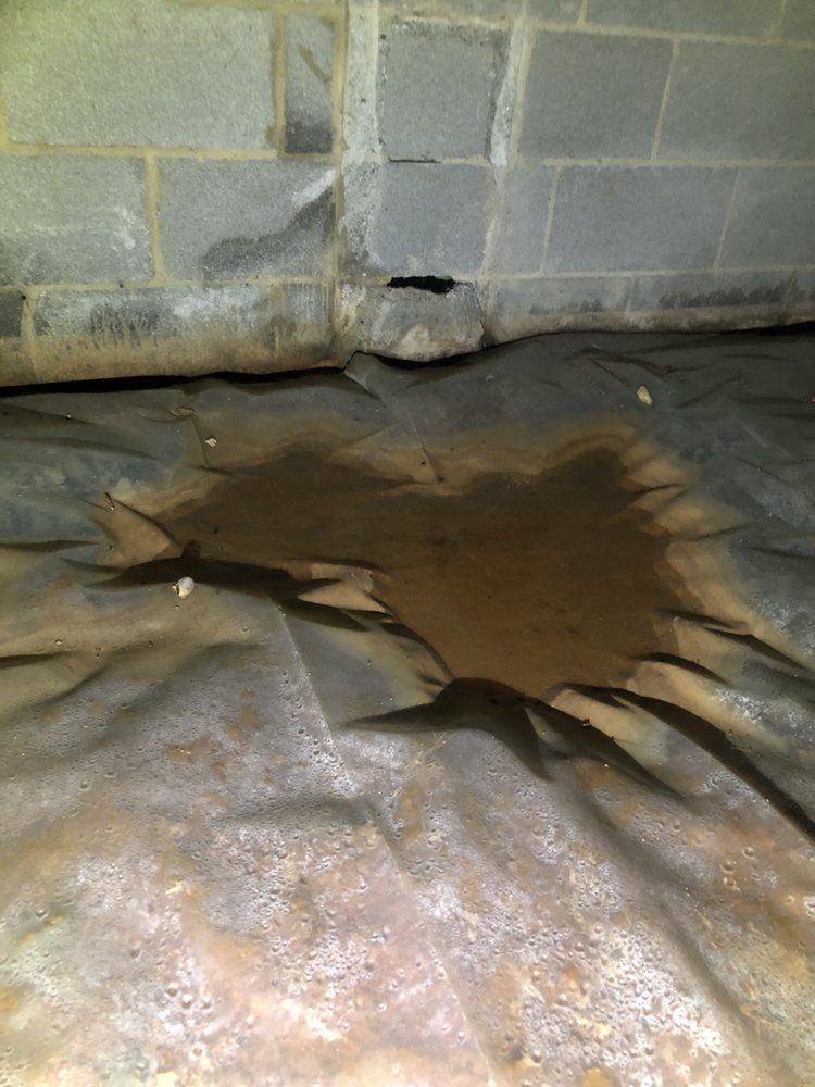 There is a puddle of water on the floor of a basement.
