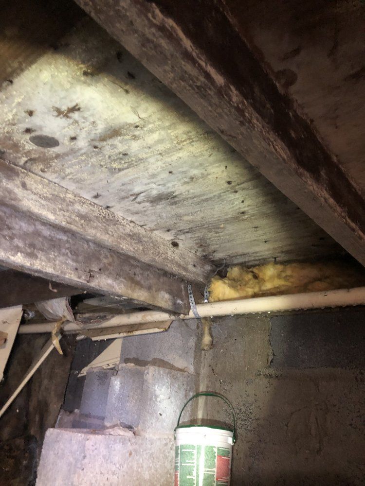 A bucket is sitting under a ceiling in a basement.