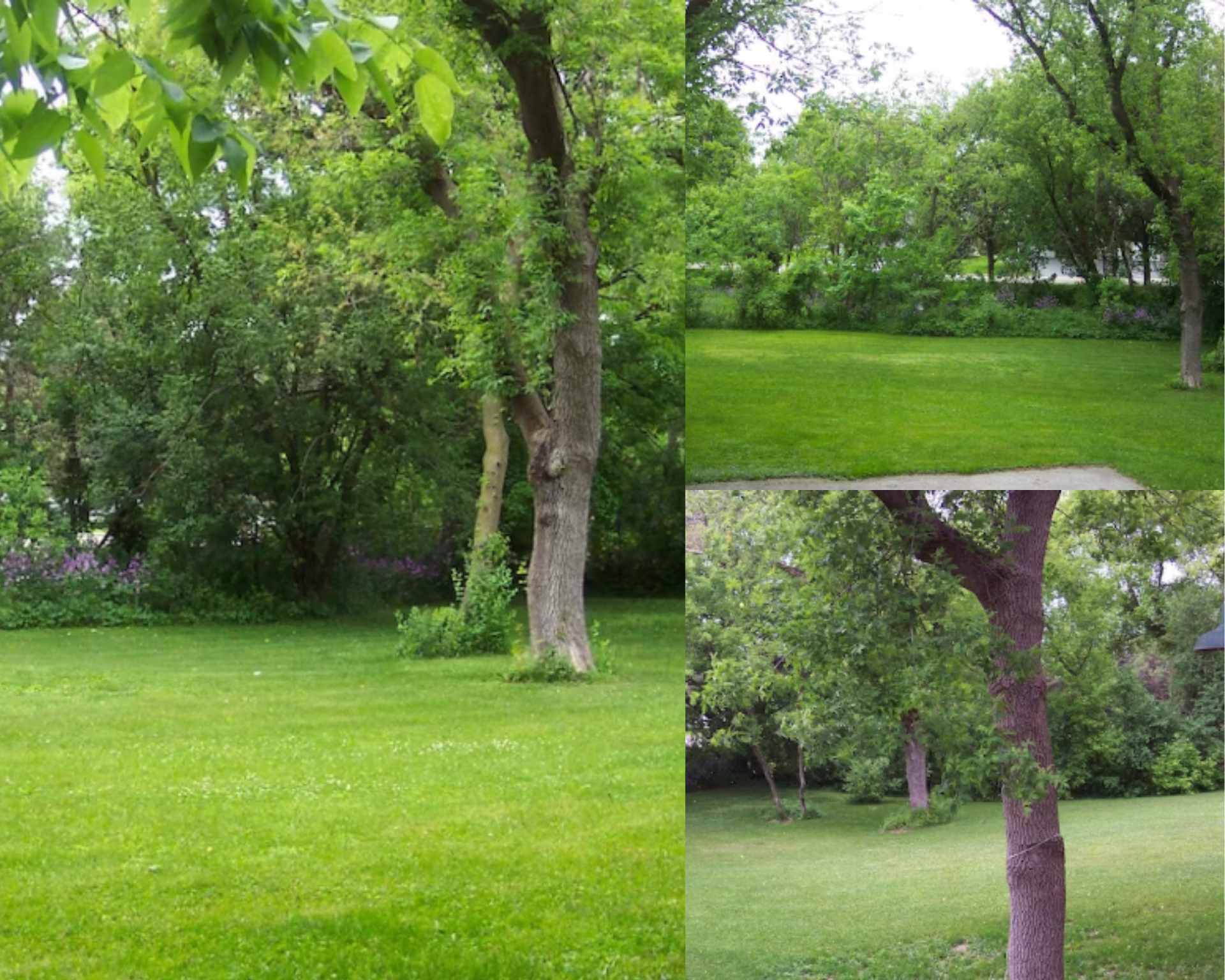 Thiensville Multi-Family Buildable Lot