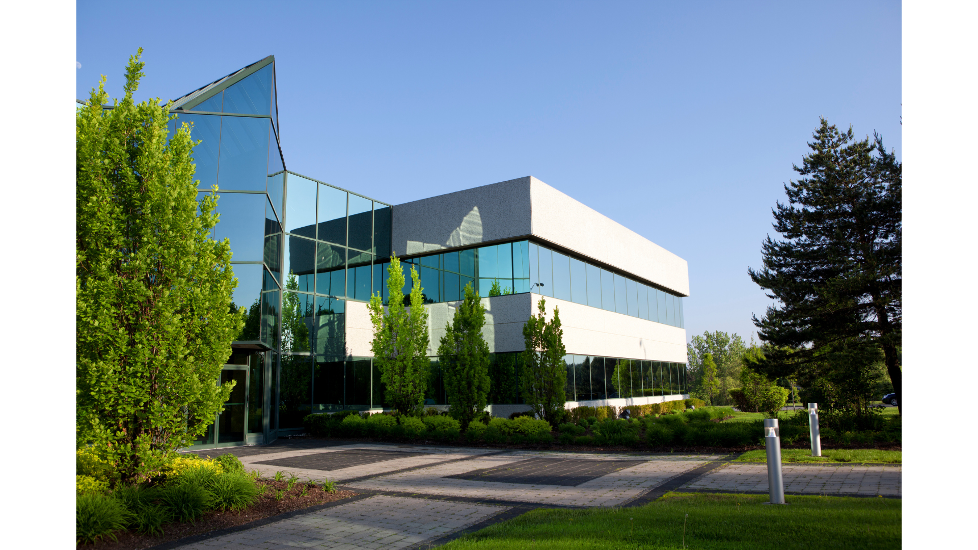 Commercial Pest Control