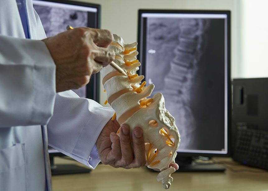 Spinal Cord Demonstration — Beverly Hills, CA — Richard D. Hoffman Law Offices