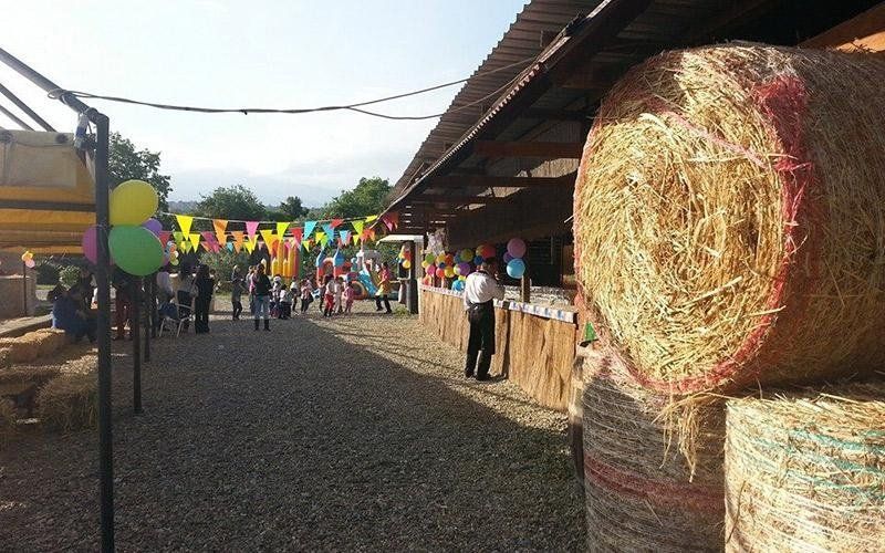 feste di compleanno in maneggio