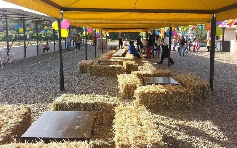 feste di compleanno in circolo ippico