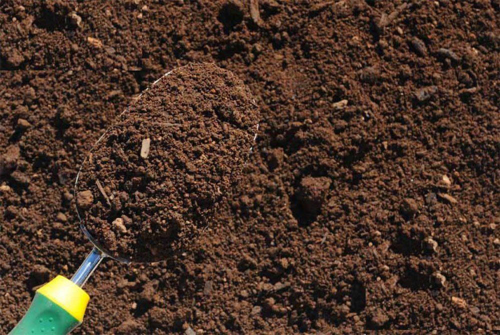 Fill Dirt Southport, NC Screened Top Soil