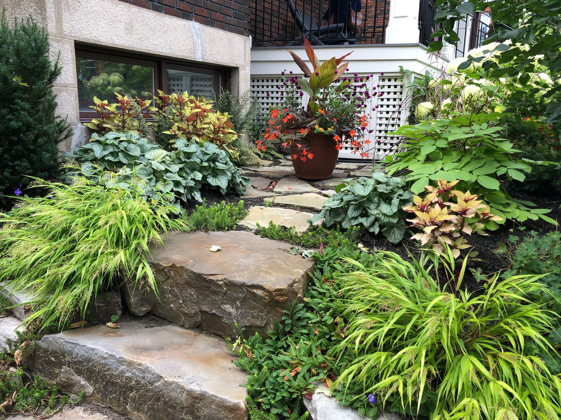 Un jardin avec beaucoup de plantes et de rochers devant une maison.