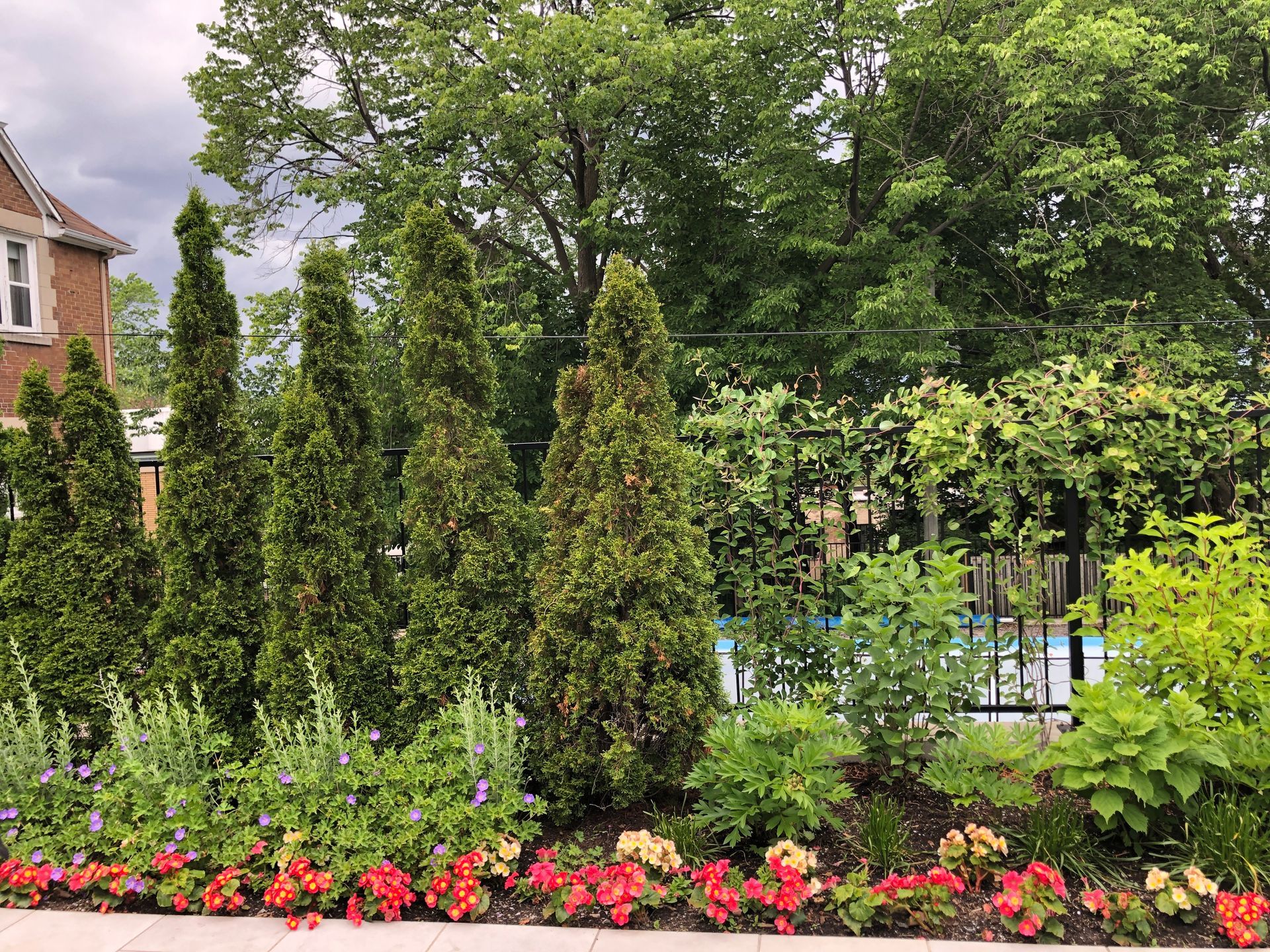 Un jardin verdoyant avec des fleurs et des arbres à côté d'une piscine.
