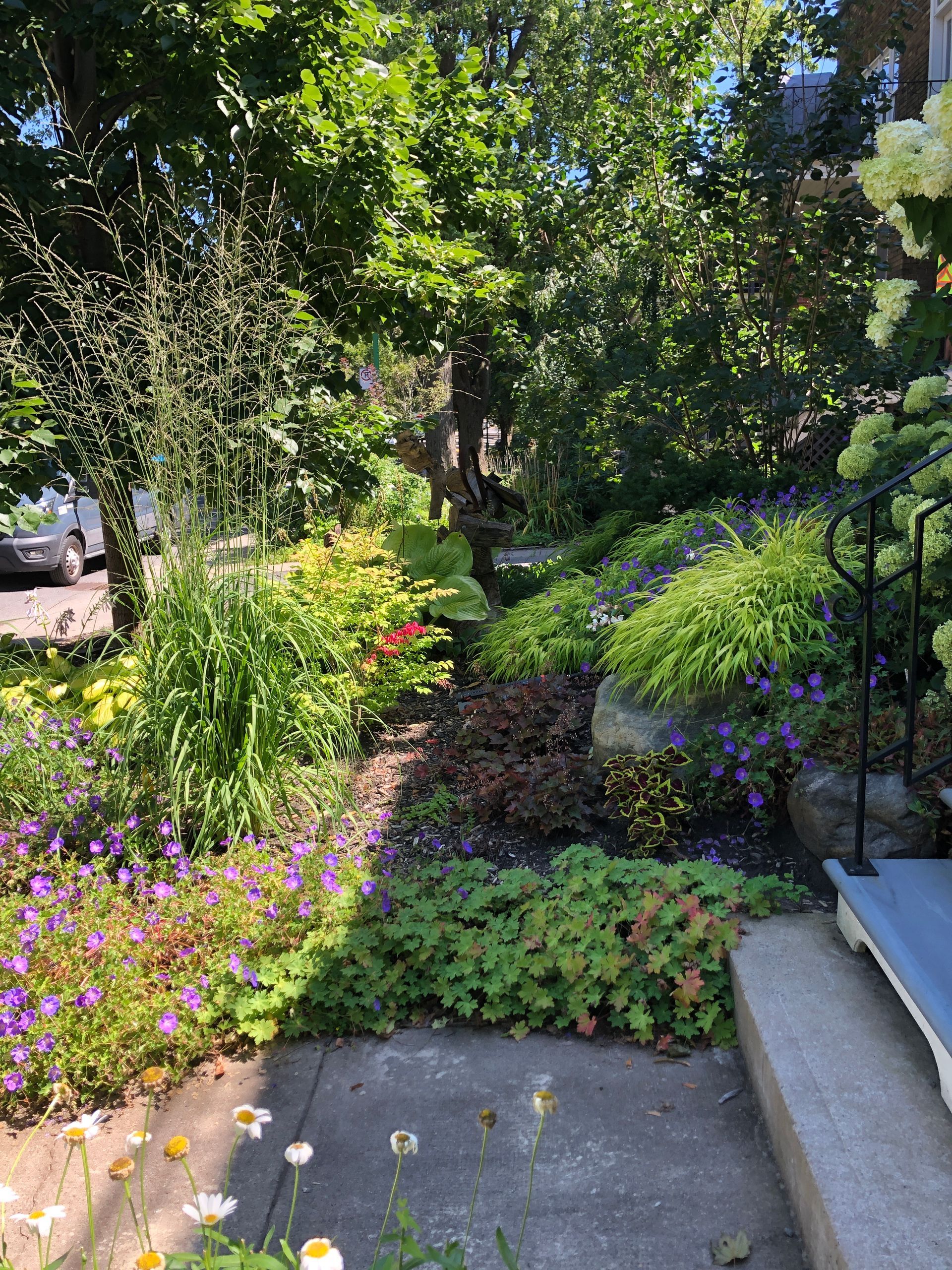 Un jardin rempli de beaucoup de fleurs et d'arbres