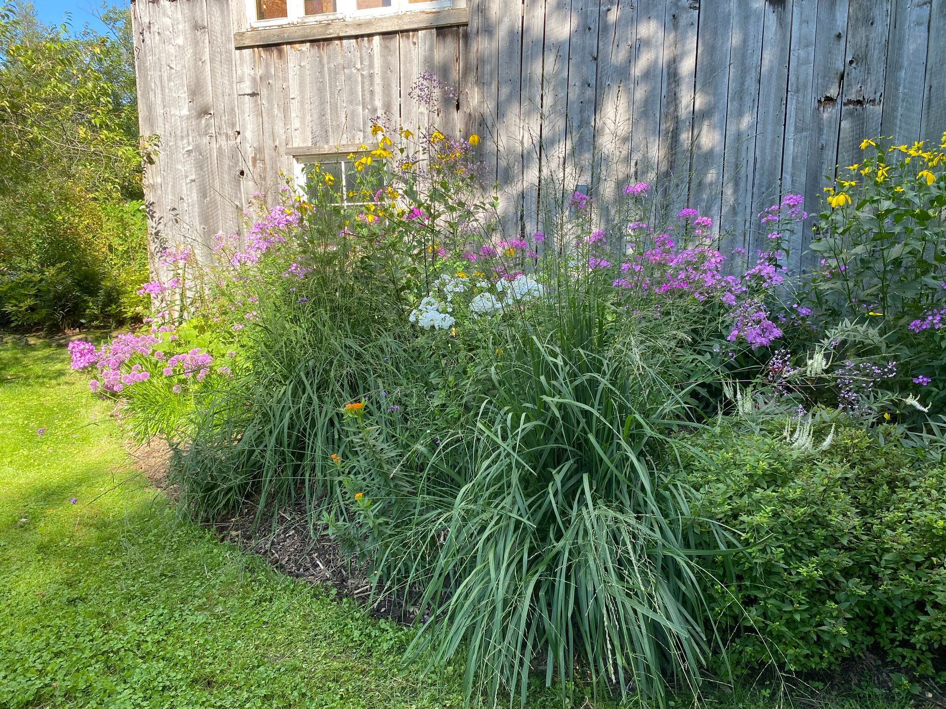Un jardin avec des fleurs et une clôture en bois en arrière-plan.