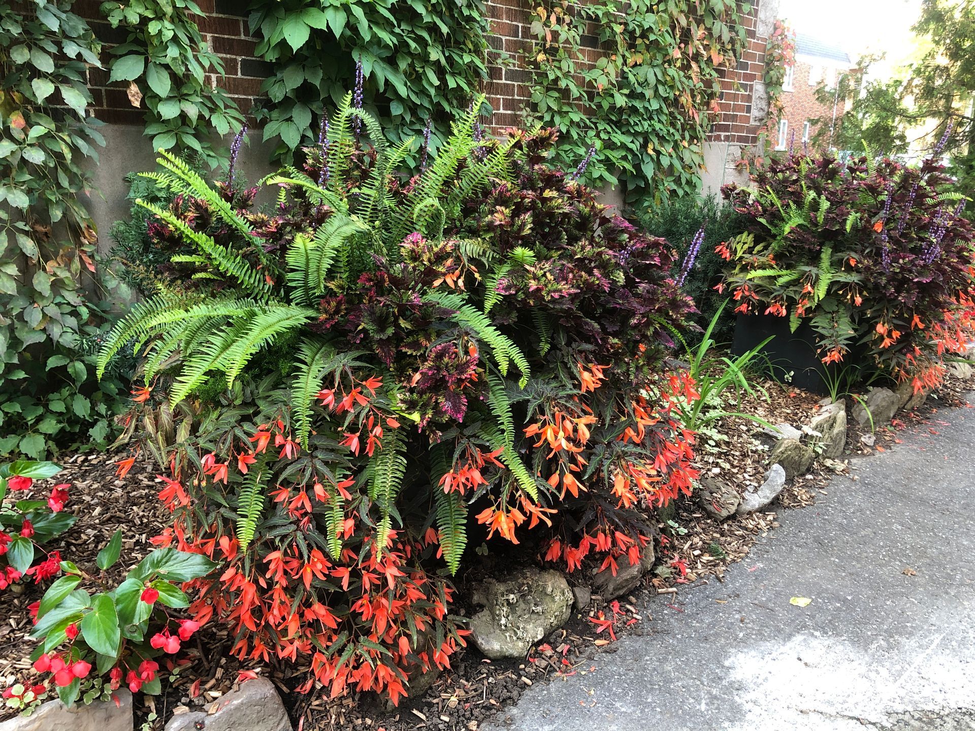 Une rangée de fleurs et de fougères le long d'un trottoir à côté d'un mur de briques.