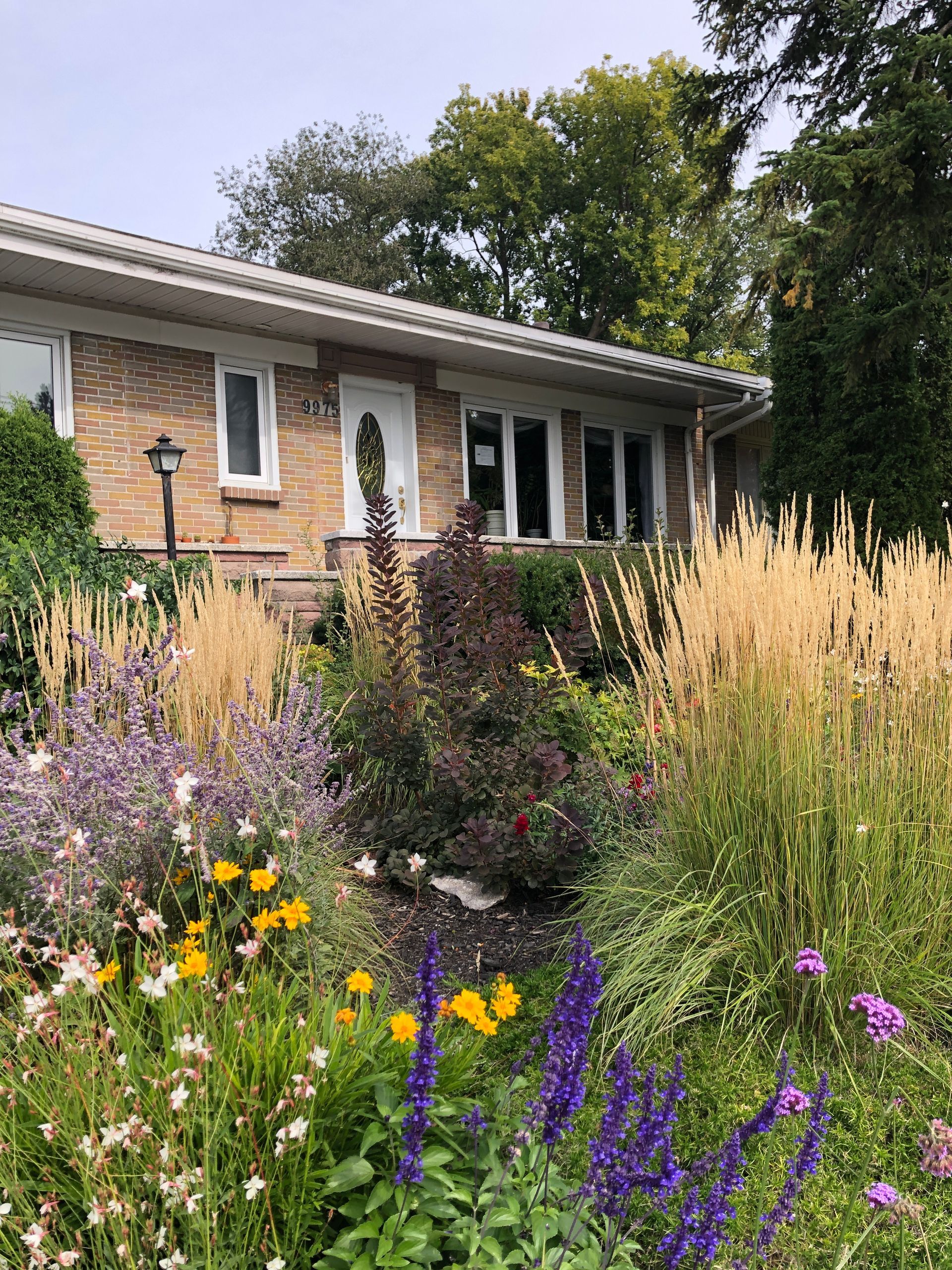A brick house with a lush green garden in front of it.