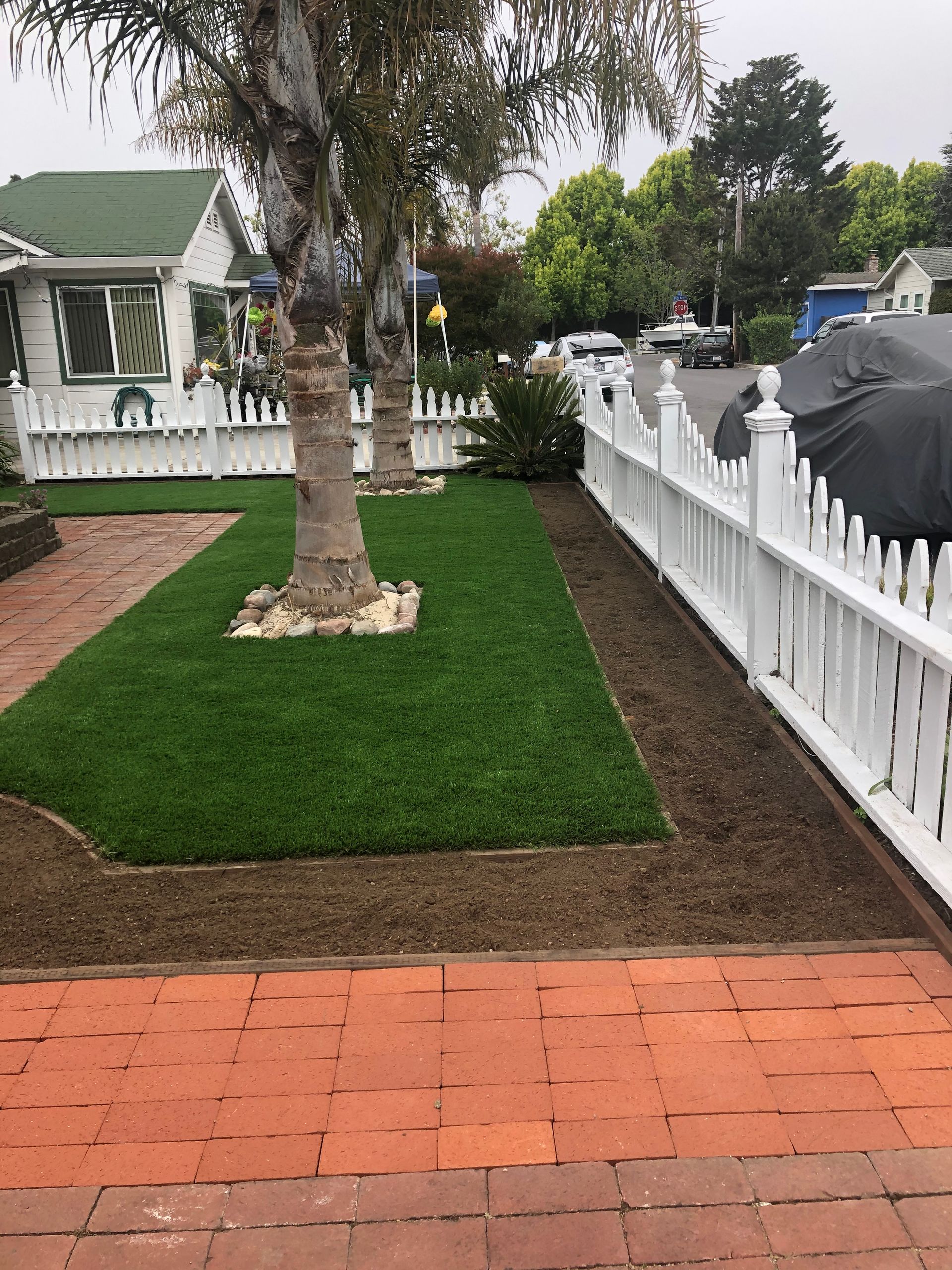 Landscape With Tree  -  Monterey, CA - Andres & Maria Landscaping