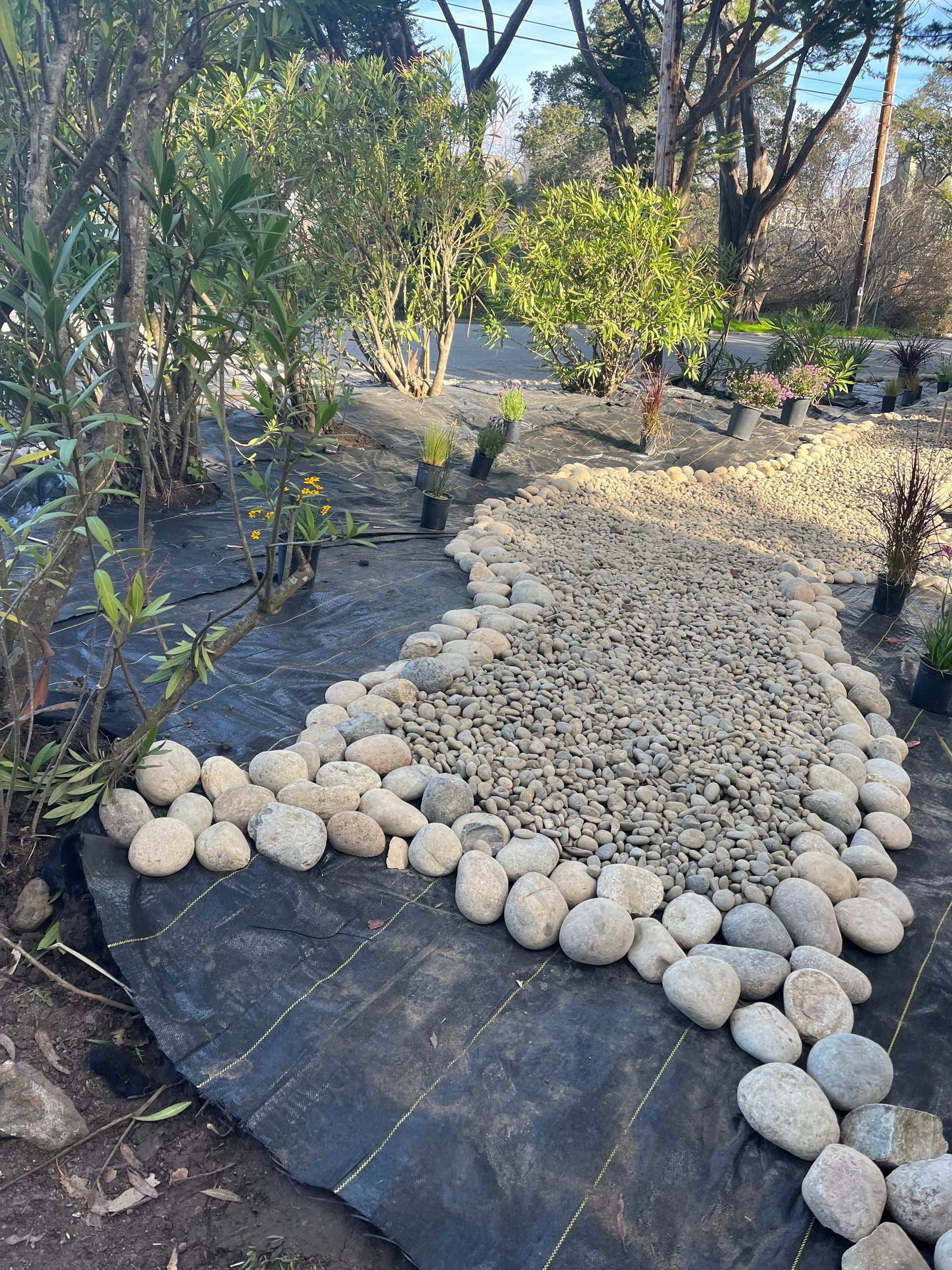 Garden with Landscaping Design  -  Monterey, CA - Andres & Maria Landscaping