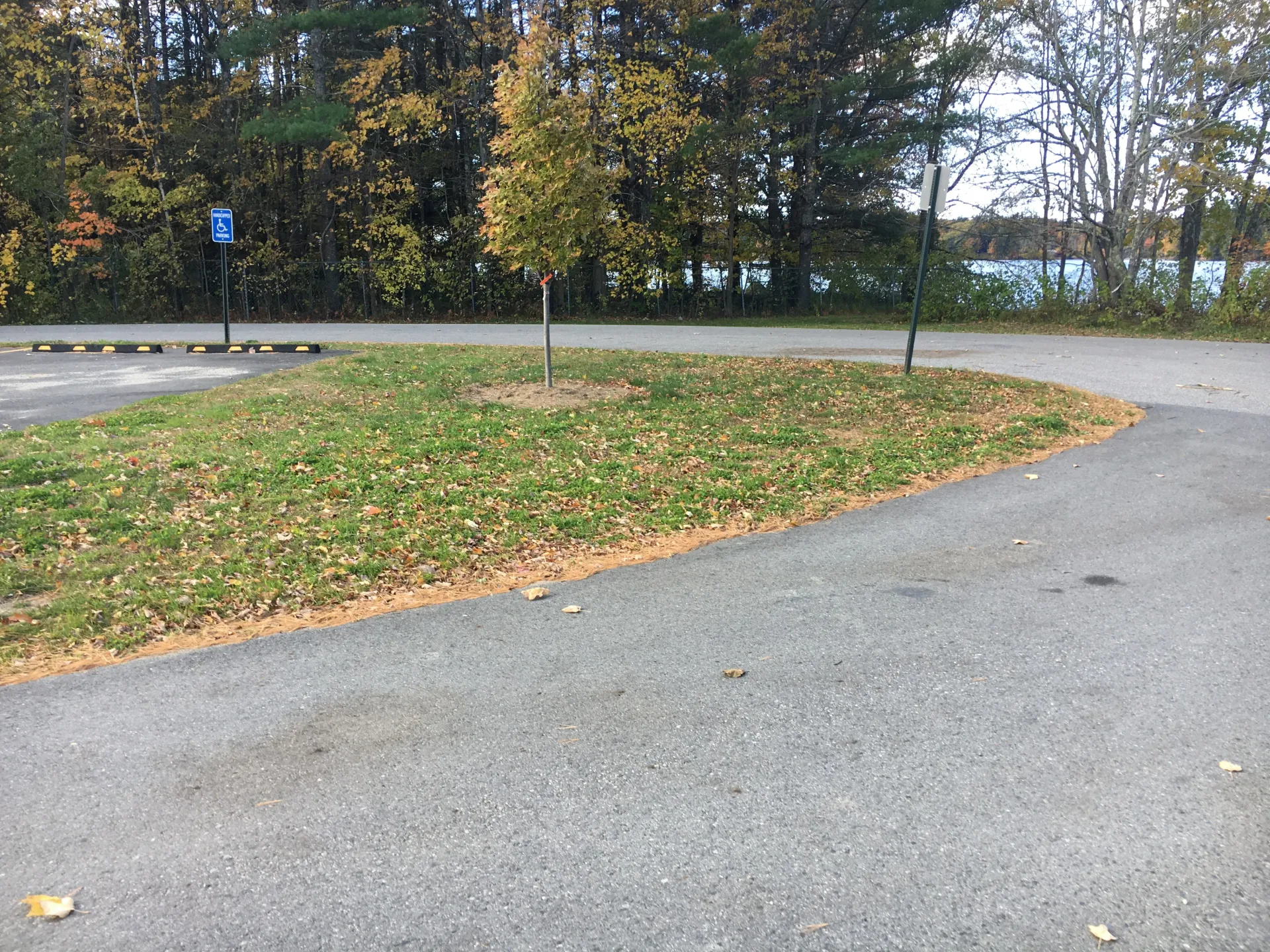 A parking lot with a grassy area in the middle of it and trees in the background.