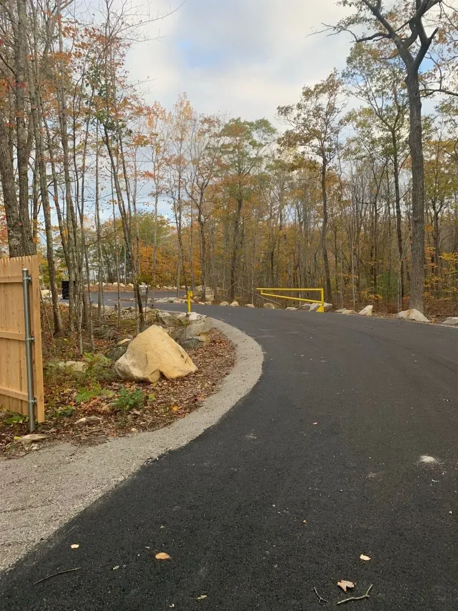 A road going through a forest with trees on both sides