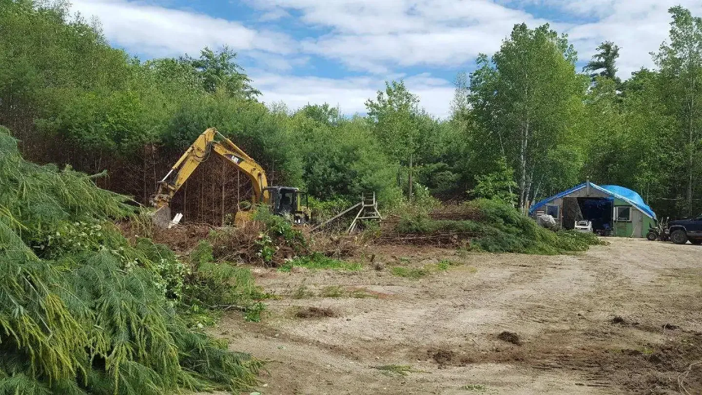 A yellow excavator is sitting in the middle of a dirt field in the middle of a forest.
