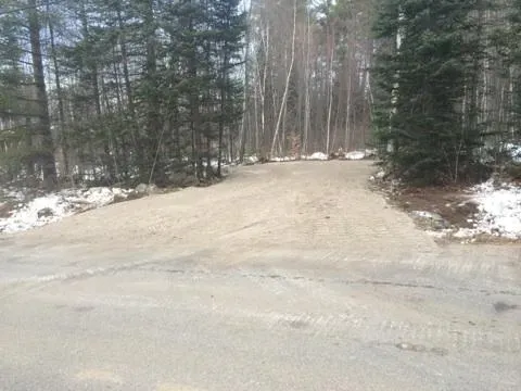 A dirt road going through a forest with snow on the ground.