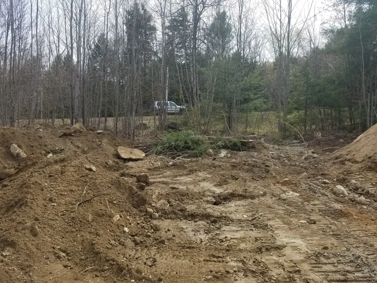 A large pile of dirt is sitting in the middle of a forest.