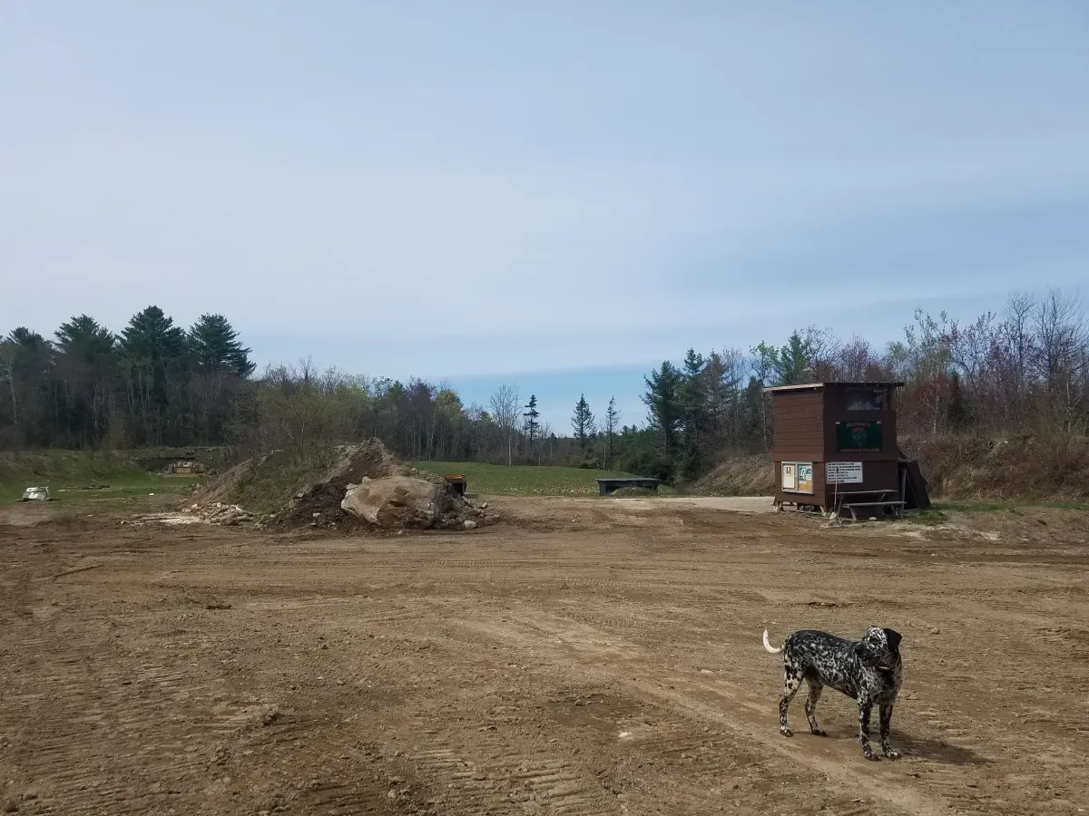 A dog is standing in the middle of a dirt field.