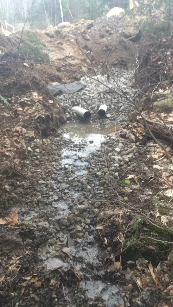 A muddy stream in the woods with pipes in it.