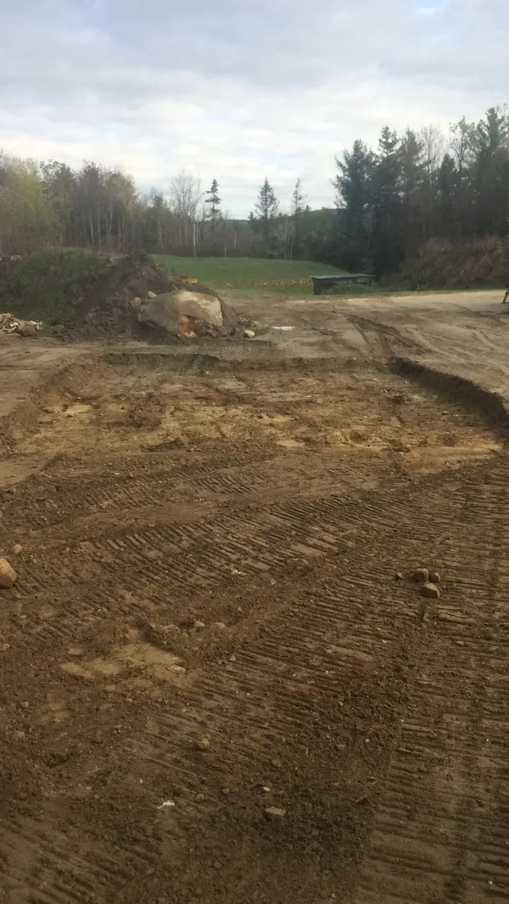 A dirt road going through a field with trees in the background.