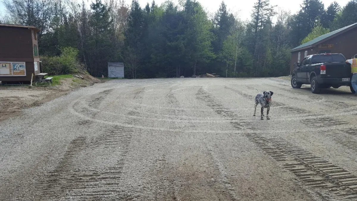 A dog is standing in the middle of a dirt road next to a truck.
