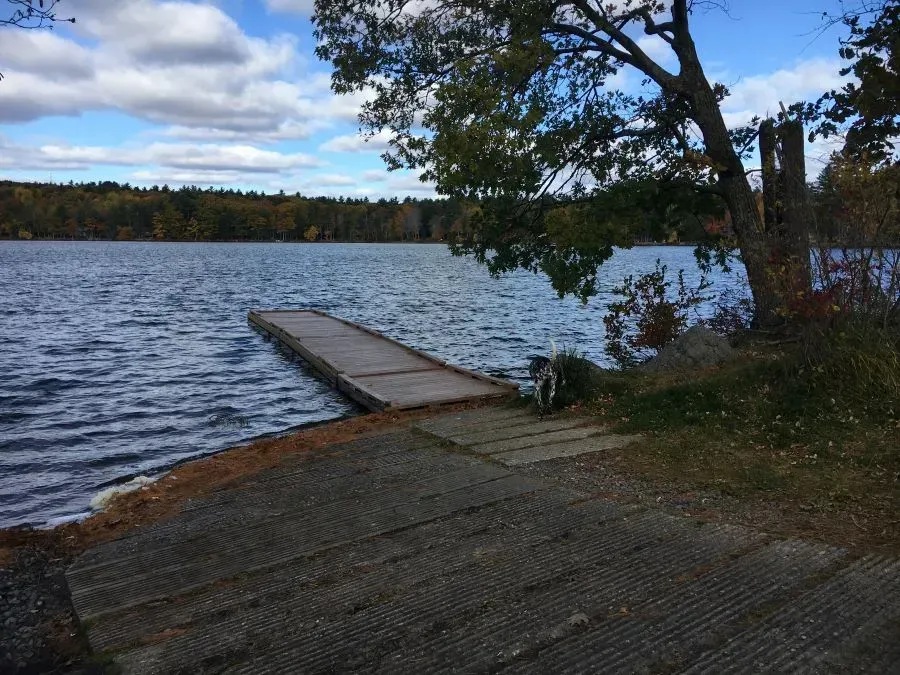 A dock is sitting on the shore of a lake.