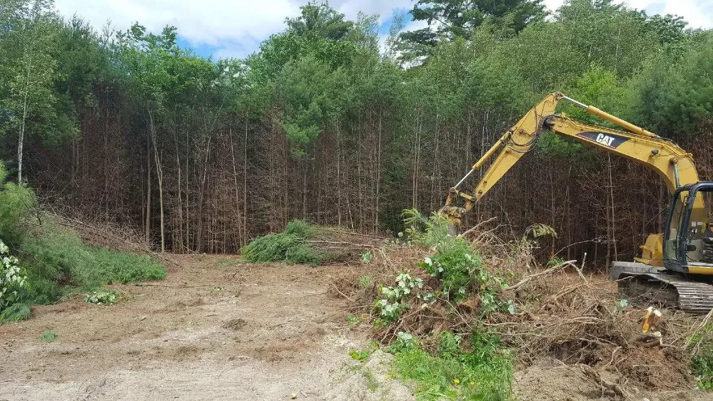 A yellow excavator is digging a hole in the middle of a forest.