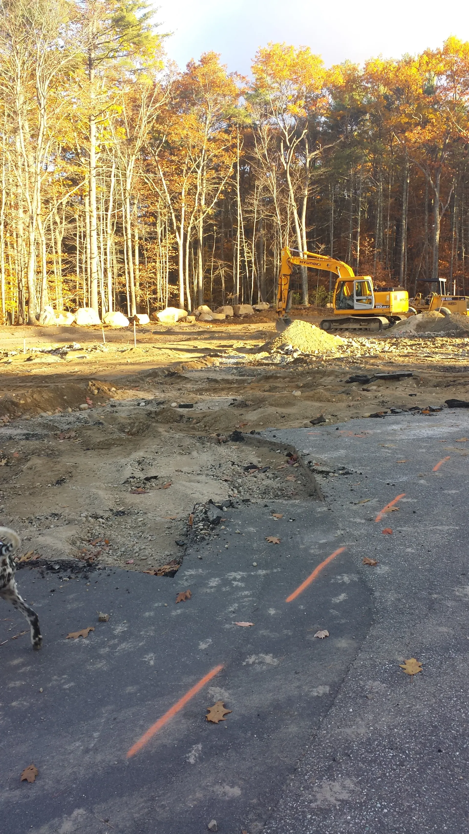 A construction site with a lot of dirt and trees in the background.
