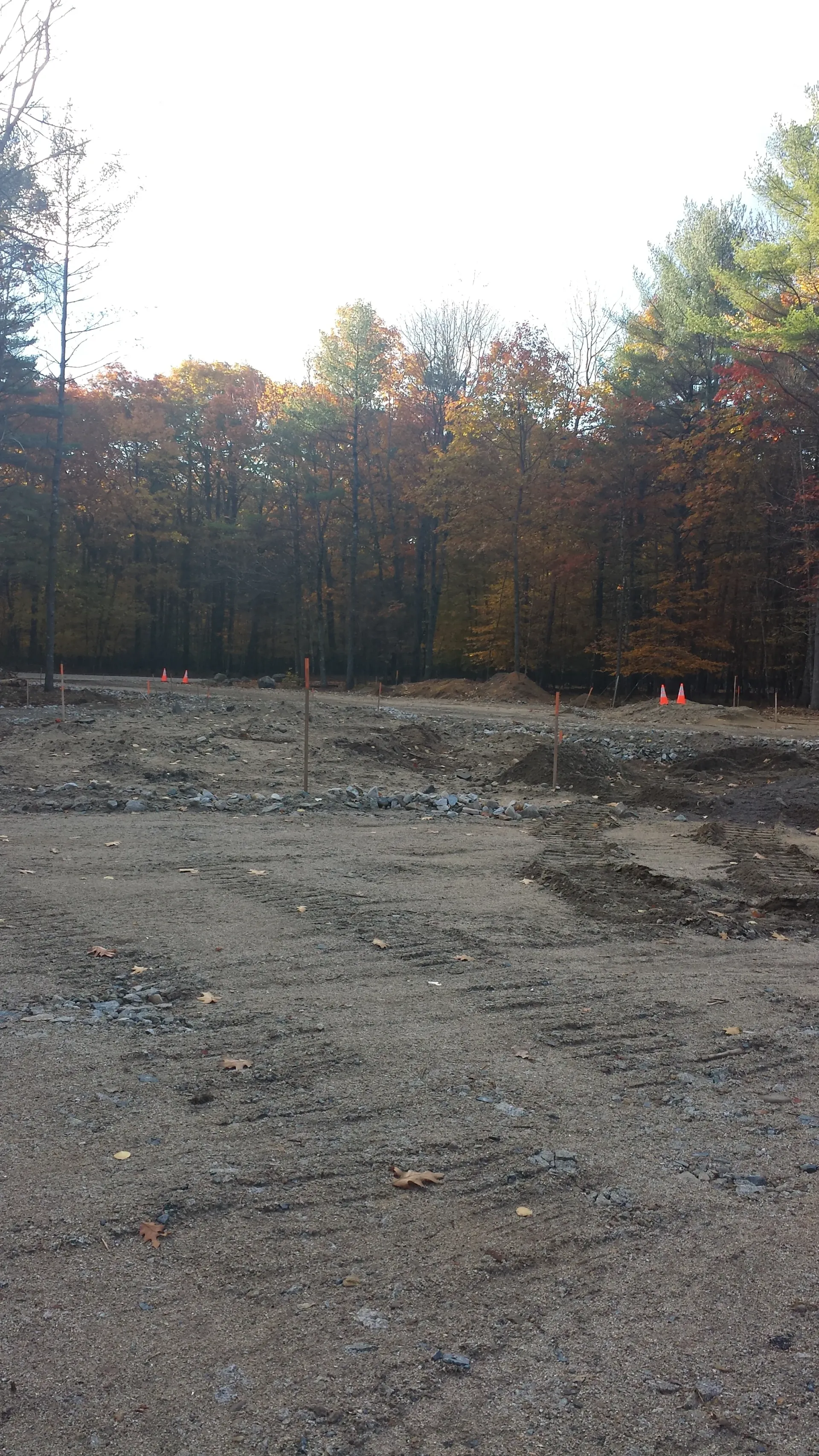 A dirt field in the middle of a forest with trees in the background.