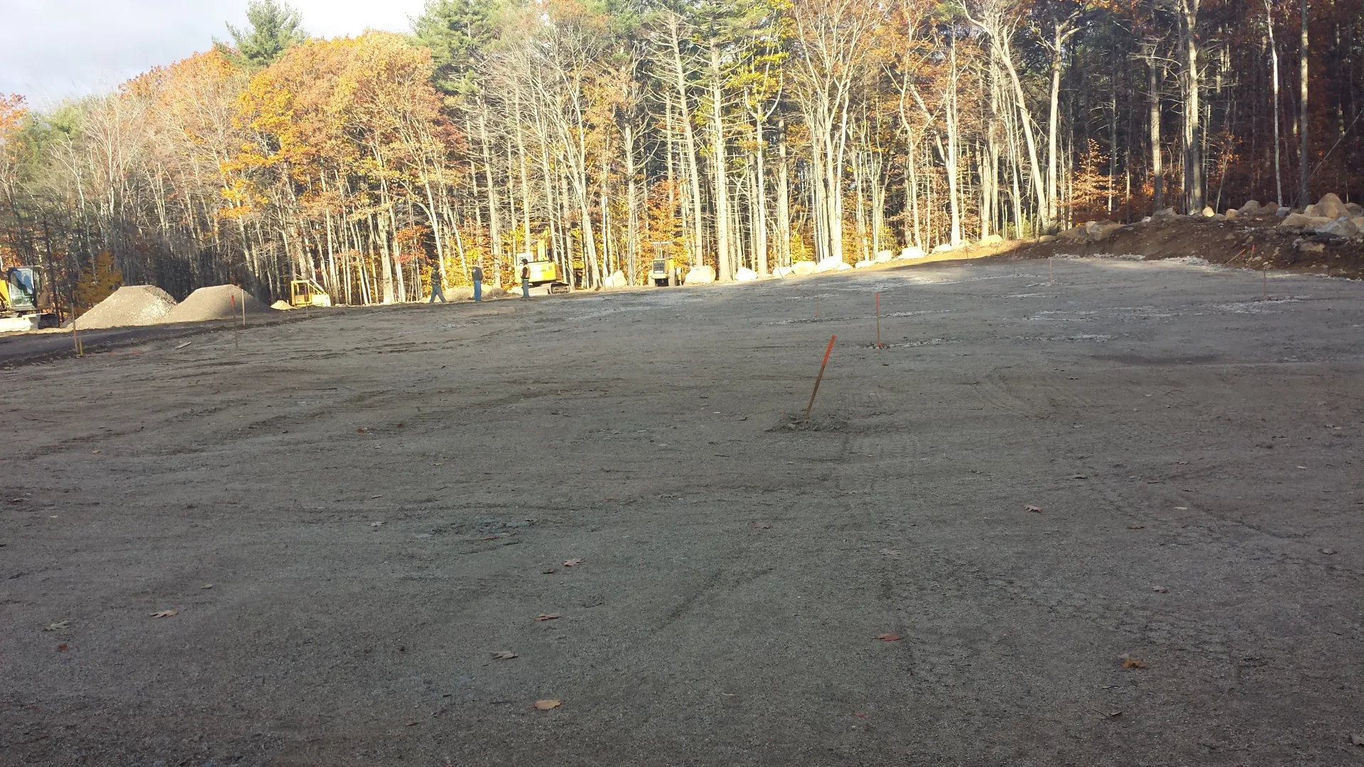 A dirt road in the middle of a forest with trees in the background.