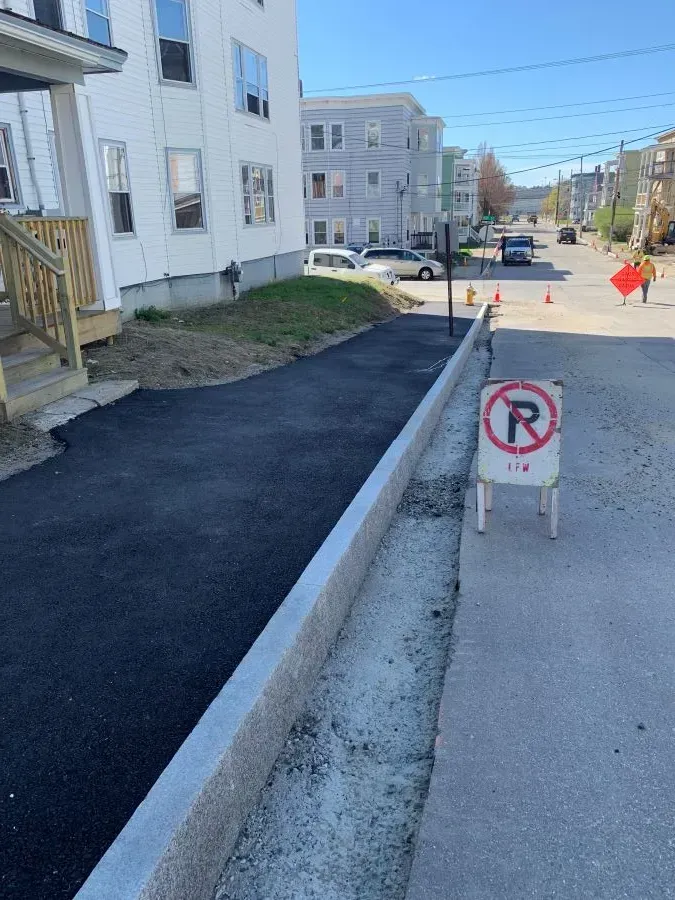 A no parking sign is on the side of the road