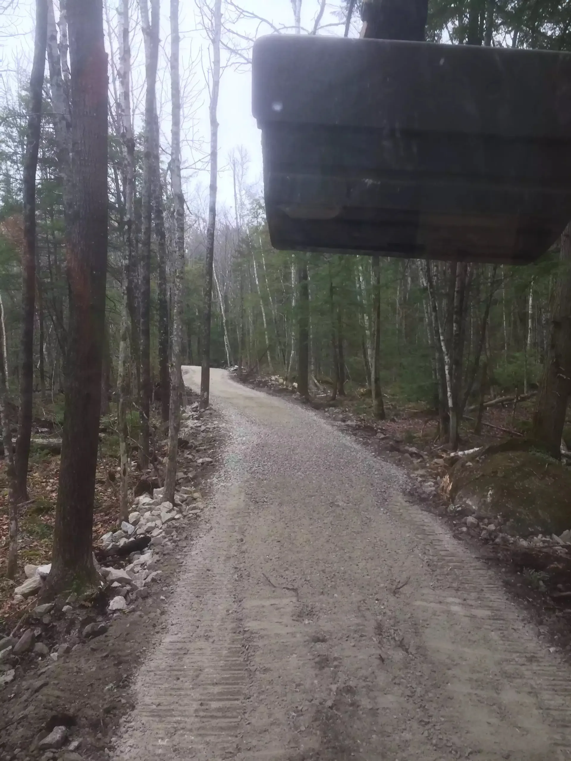 A dirt road going through a forest with trees on both sides.