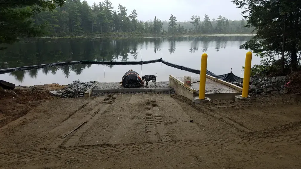 A dog is standing on a dock next to a lake.