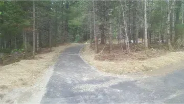 A road in the middle of a forest with trees on both sides.